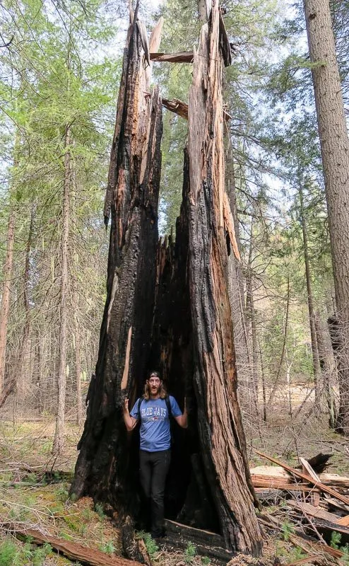 Campervanning California's National Parks - Outsidevibes Hiking Hetch Hetchy California
