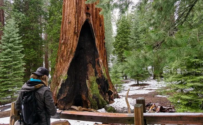 Campervanning California's National Parks - Outsidevibes Kings Canyon National Park California