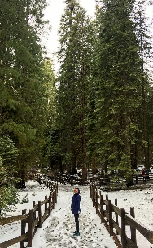 Campervanning California's National Parks - Outsidevibes Kings Canyon National Park California
