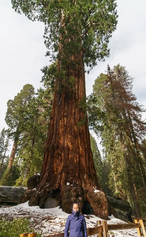 Campervanning California's National Parks - Outsidevibes Kings Canyon National Park California
