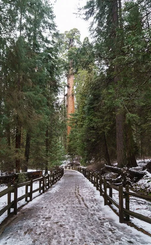 Campervanning California's National Parks - Outsidevibes Kings Canyon National Park California