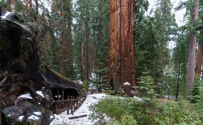 Campervanning California's National Parks - Outsidevibes Kings Canyon National Park California