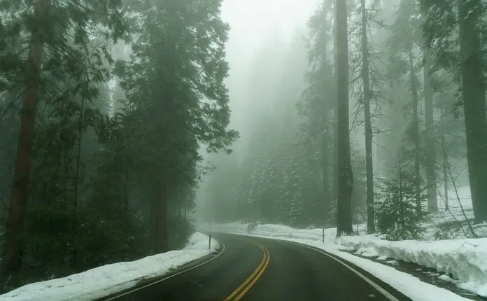 Campervanning California's National Parks - Outsidevibes Kings Canyon National Park California