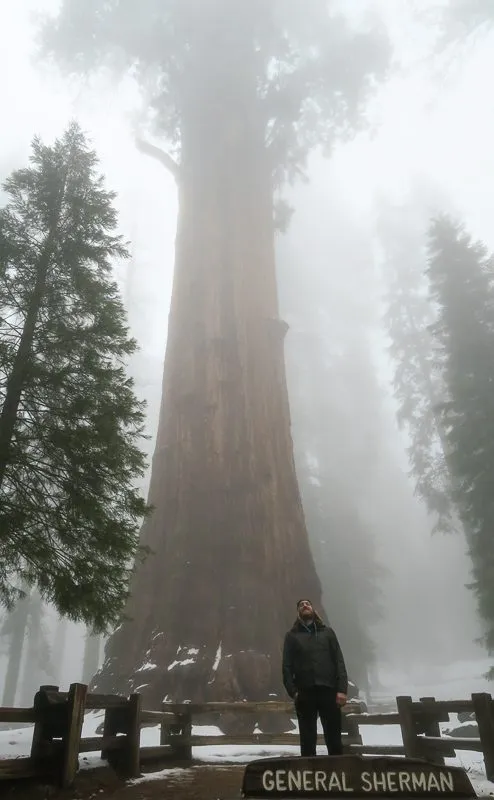 Campervanning California's National Parks - Outsidevibes Sequoia National Park California