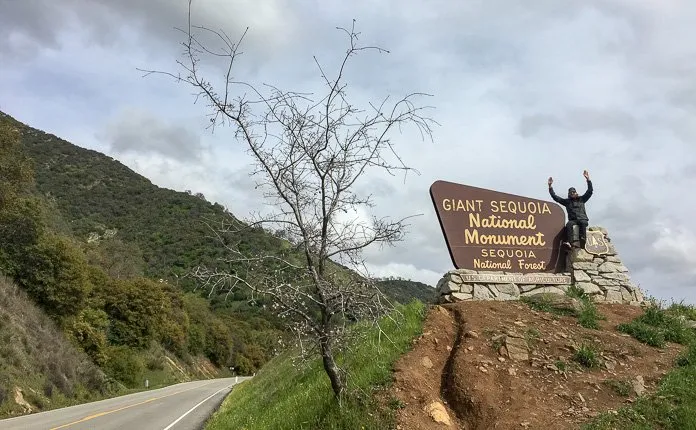 Campervanning California's National Parks - Outsidevibes Sequoia National Park California