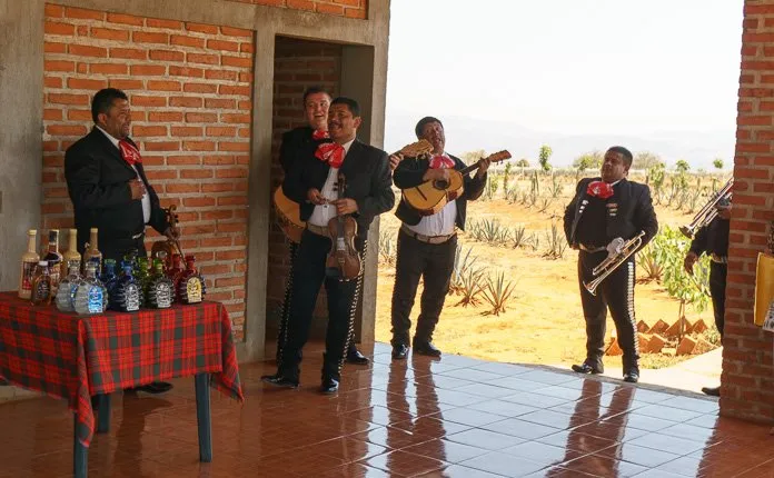 Tres Mujeres Distillery Tequila Mexico