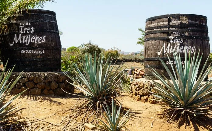 Tres Mujeres Distillery Tequila Mexico