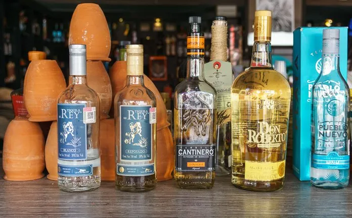 Tequila Tour on a budget Mexico