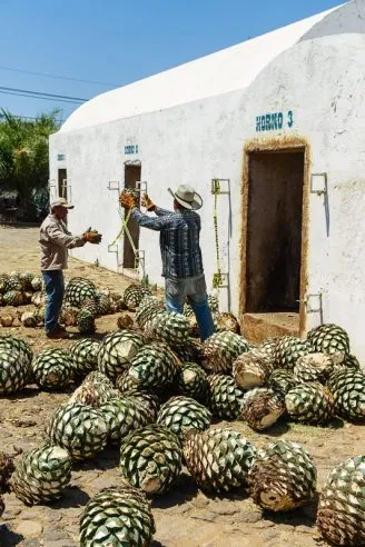 Tres Mujeres Distillery Tequila Mexico