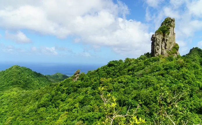 Rarotonga Cross Island Hike - Outsidevibes The Needle Rarotonga Hiking