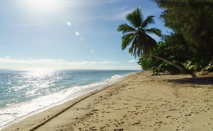 Beach and Palm Trees Rarotonga