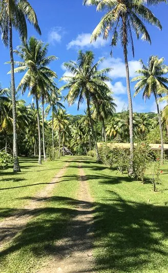 Getting Robbed in French Polynesia - Outsidevibes Sunset Beach Motel Raiatea