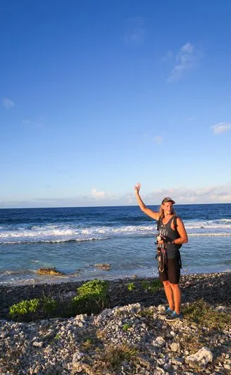 Dolphin watching Rangiroa