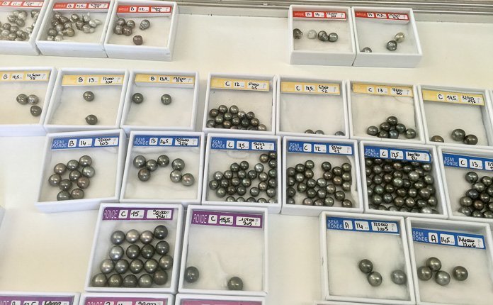 Backpacking the Tuamotu Islands on a Budget - Outsidevibes Gauguins Pearl Farm Rangiroa