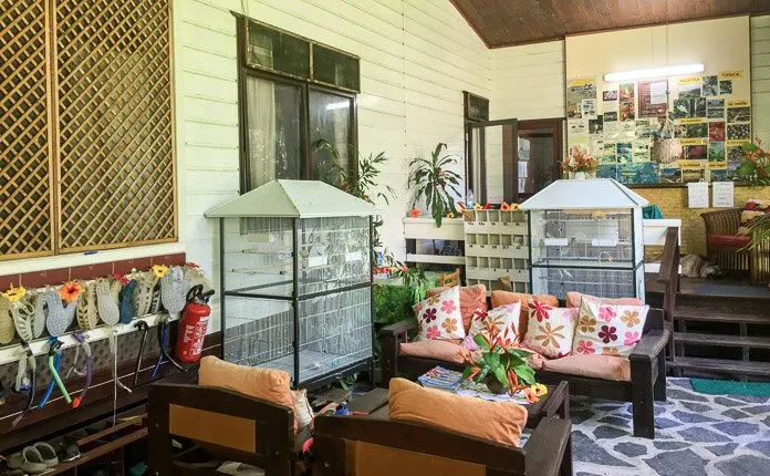 Getting Robbed in French Polynesia - Outsidevibes Sunset Beach Motel Raiatea