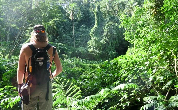 Rarotonga Cross Island Hike - Outsidevibes Rarotonga Cross Island Hike
