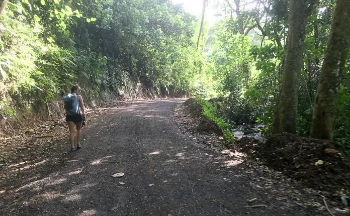 Rarotonga Cross Island Hike - Outsidevibes Rarotonga Cross Island Hike