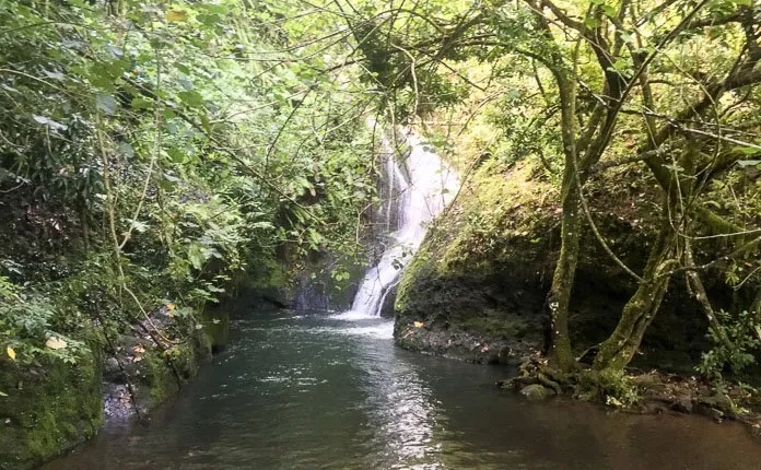 Rarotonga Cross Island Hike - Outsidevibes Wigmore Waterfall Rarotonga Cook Islands