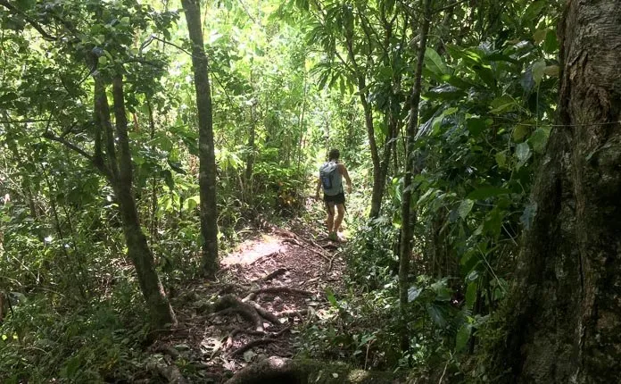 Rarotonga Cross Island Hike - Outsidevibes Rarotong Cross Island HIke
