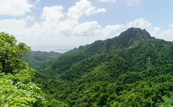 Rarotonga Cross Island Hike - Outsidevibes Rarotonga Cross Island Hike