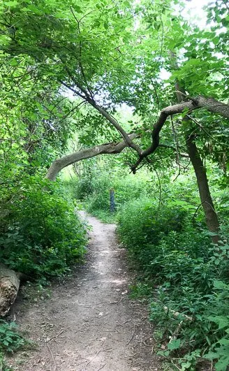 Toronto Waterfront Cycling Trail - Outsidevibes Toronto Waterfront Cycling Trail