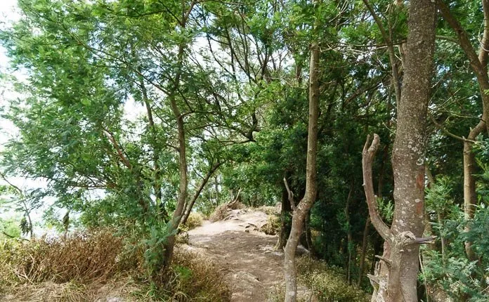Hiking Mount Merapi Java Indonesia