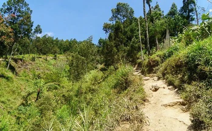 Hiking Mount Merapi Java Indonesia