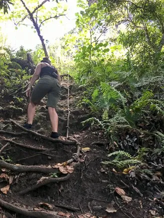 Hiking Mount Teurafaatiu
