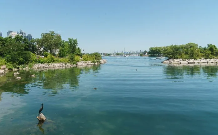 Toronto Waterfront Cycling Trail - Outsidevibes Humber Bay Park Toronto