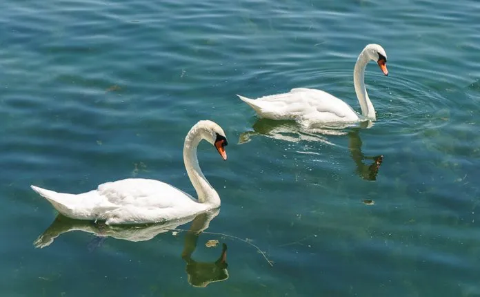 Toronto Waterfront Cycling Trail - Outsidevibes Humber Bay Park Toronto