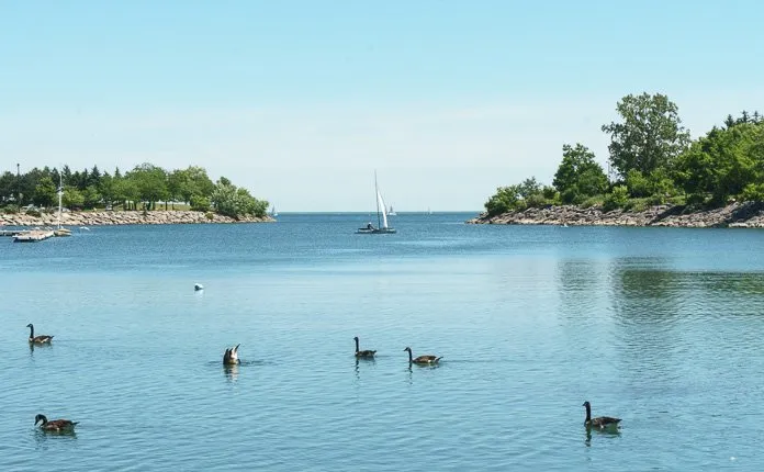 Toronto Waterfront Cycling Trail - Outsidevibes Lakefront Promenade Park Toronto