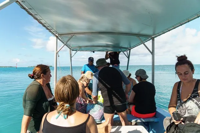 Snorkel tour Maupiti