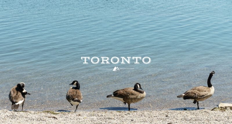 My Summer in Toronto