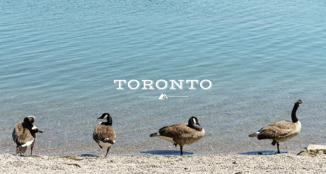 My Summer in Toronto