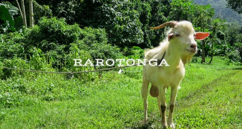 Rarotonga Cross Island Hike