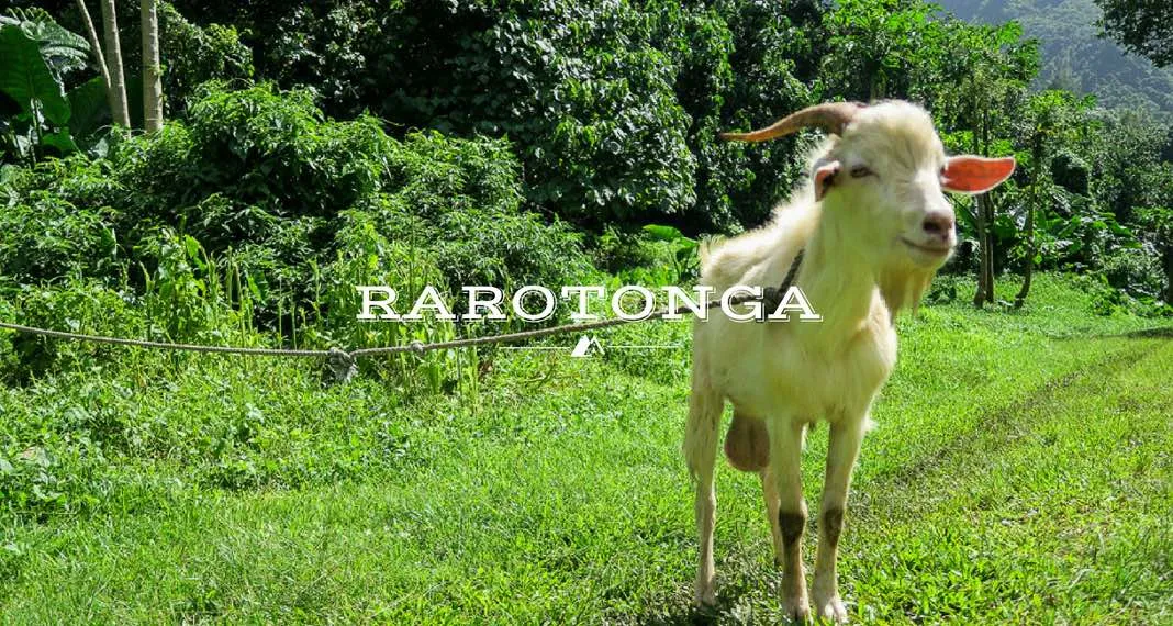 Rarotonga Cross Island Hike | Travel Cook Islands Rarotonga Cross Island Hike