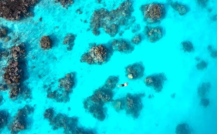 Snorkeling Fakarava