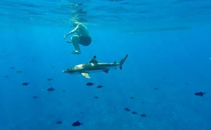 Snorkel tour Bora Bora French Polynesia