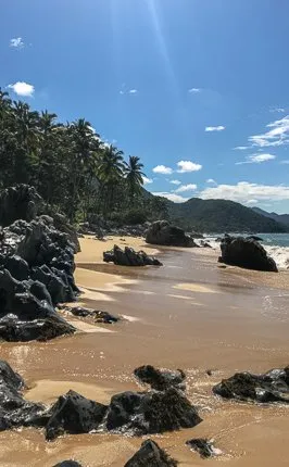 Boca to Playa Las Animas Puerto Vallarta
