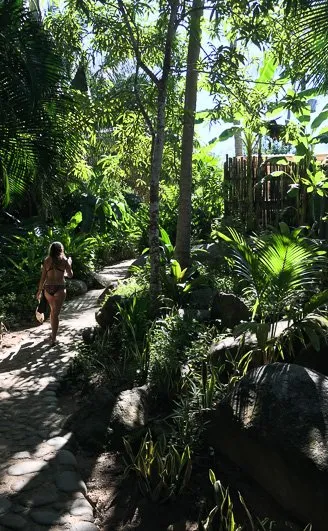 Boca de Tomatlan to Playa Las Animas Hike