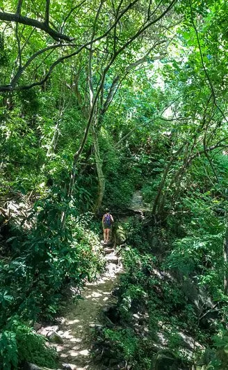 Boca de Tomatlan to Playa Las Animas Hike