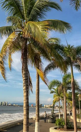 Puerto Vallara Malecon