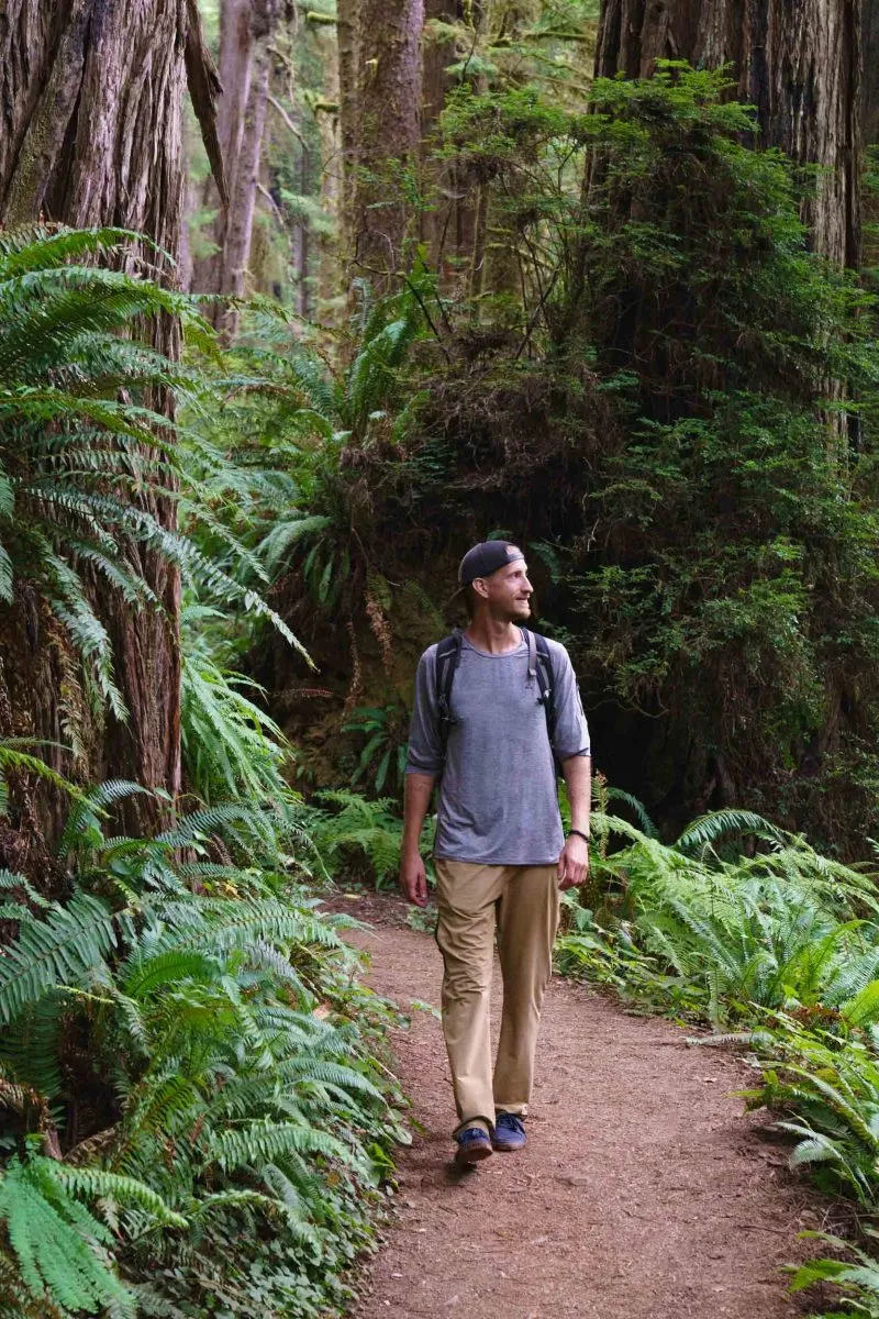 DSC2667 @OUTSIDEVIBES scaled | Affiliate-Links sheridan walking through dense forest in Washington